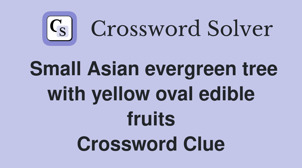 Small Asian evergreen tree with yellow oval edible fruits Crossword